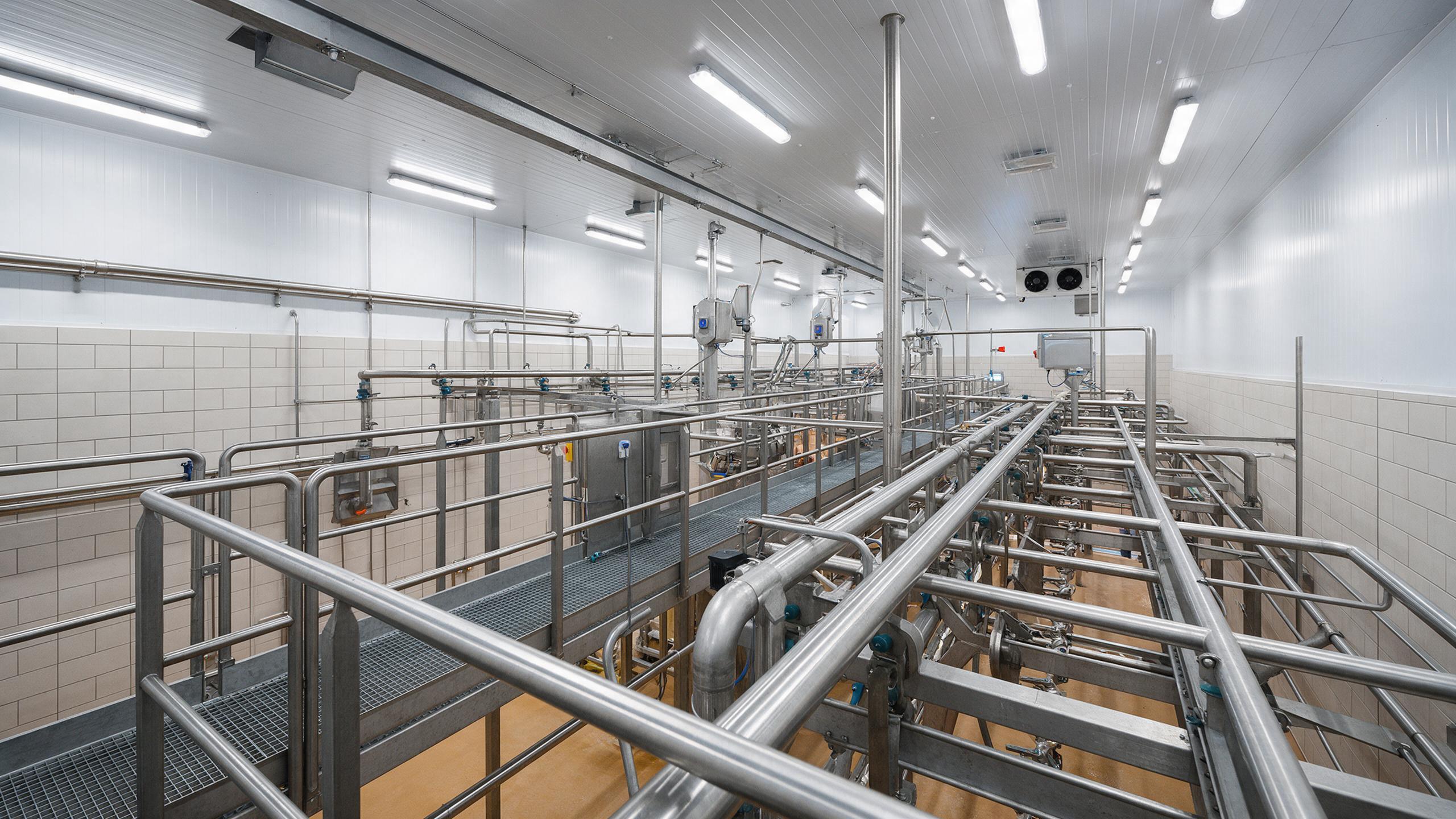 Cattle restraint and halal stunning equipment in a slaughter line