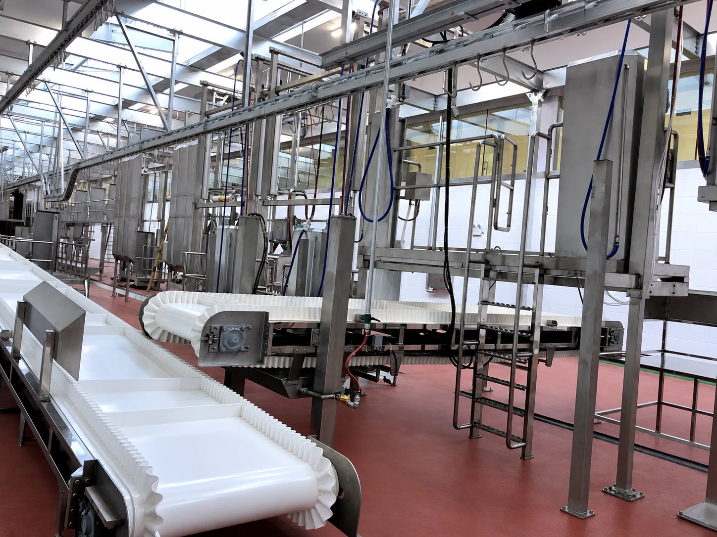 White-offal receiving and inspection conveyor with operator platforms