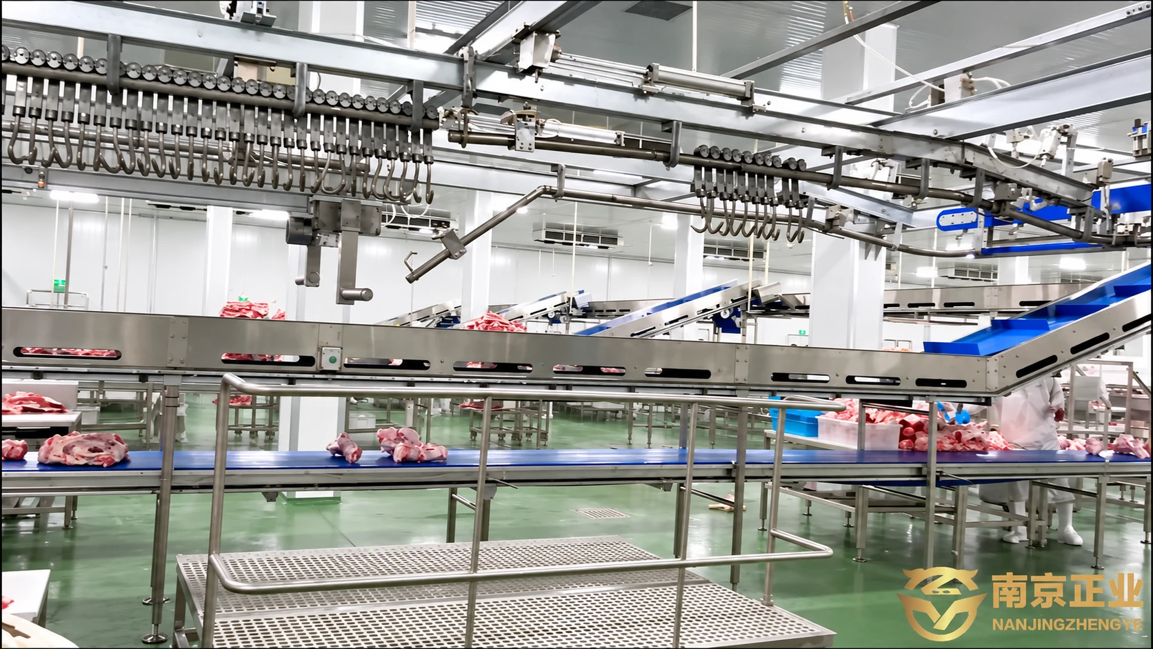 Downstream cattle transfer rails and meat-cutting conveyors from the company line video