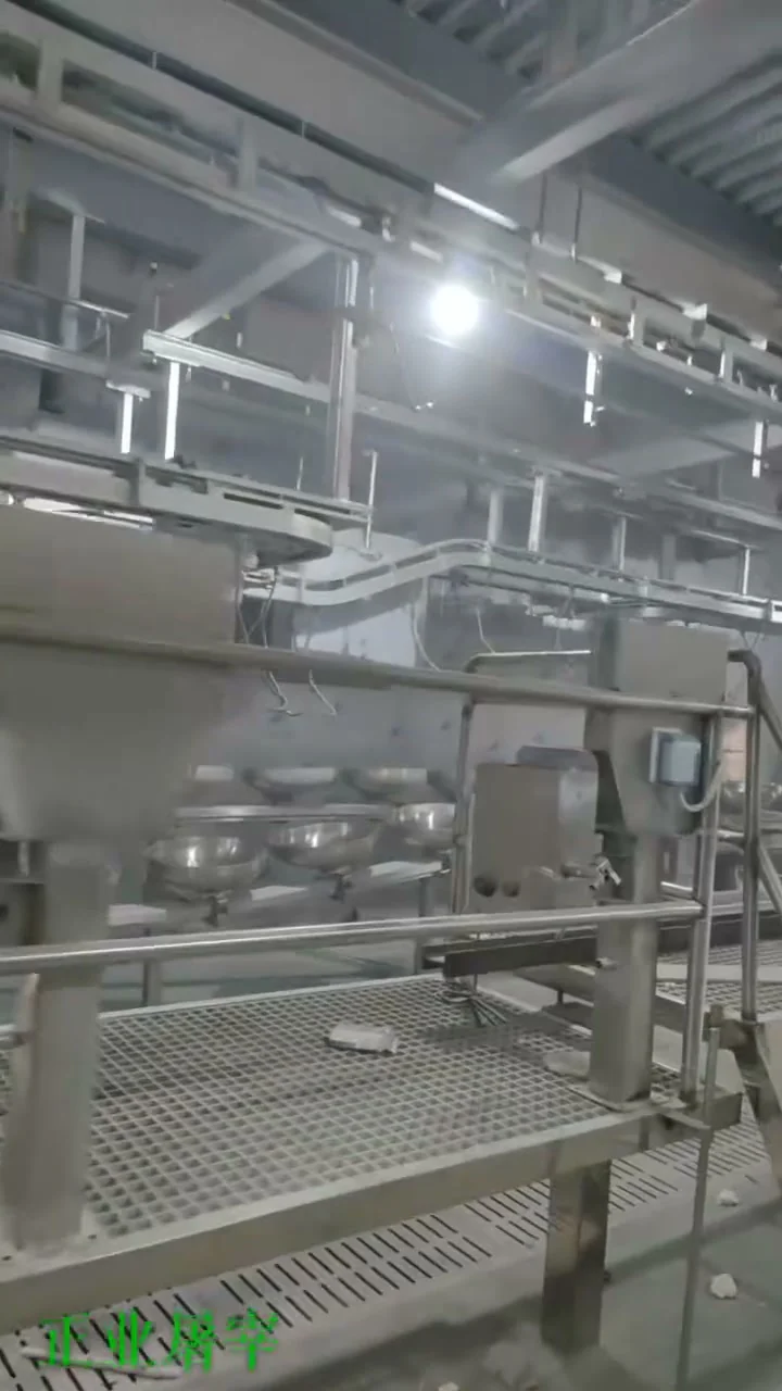 桂林生猪屠宰线的轨道及操作平台实拍