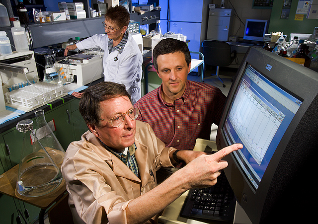 USDA ARS researchers reviewing pig protein-metabolism data in an earlier research photograph