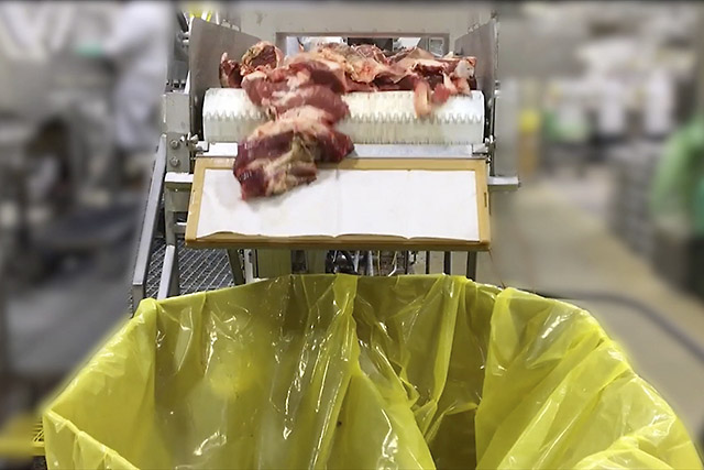 Beef trimmings crossing a continuous sampling cloth at a USDA ARS research setup