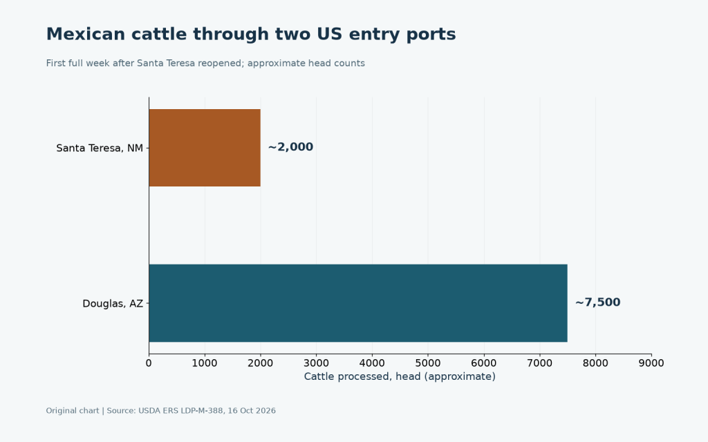 Original chart of approximate cattle processed at Santa Teresa and Douglas crossings