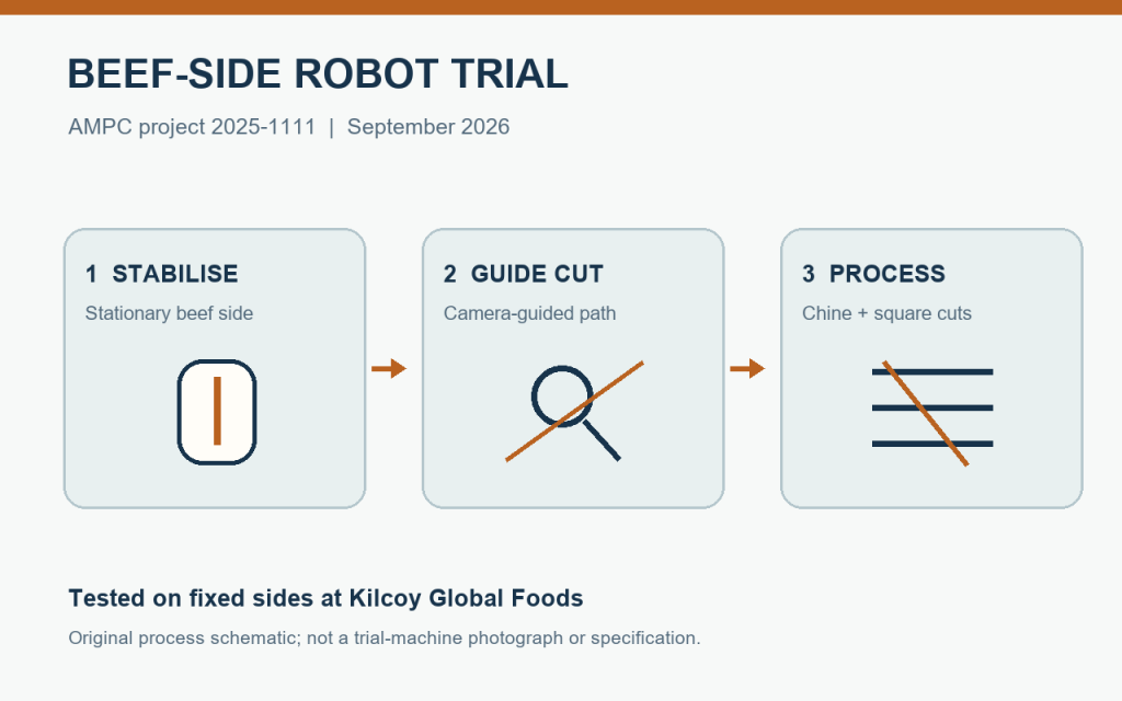 Original process diagram of camera-guided robotic cuts on a beef side
