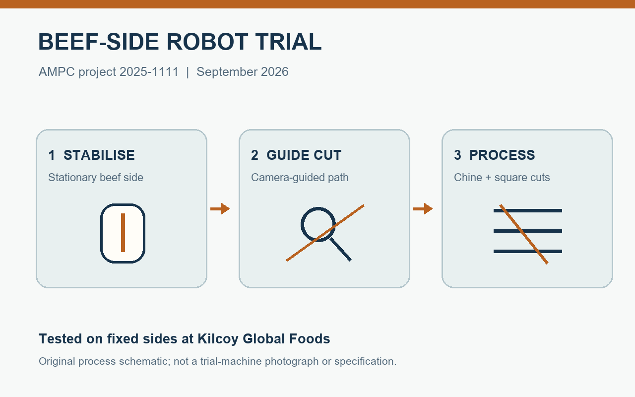Original process diagram of camera-guided robotic cuts on a beef side