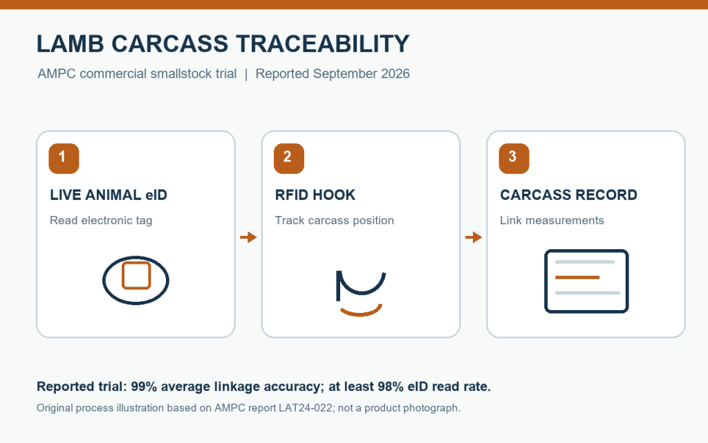 Diagram of eID, RFID hook and carcass record linkage