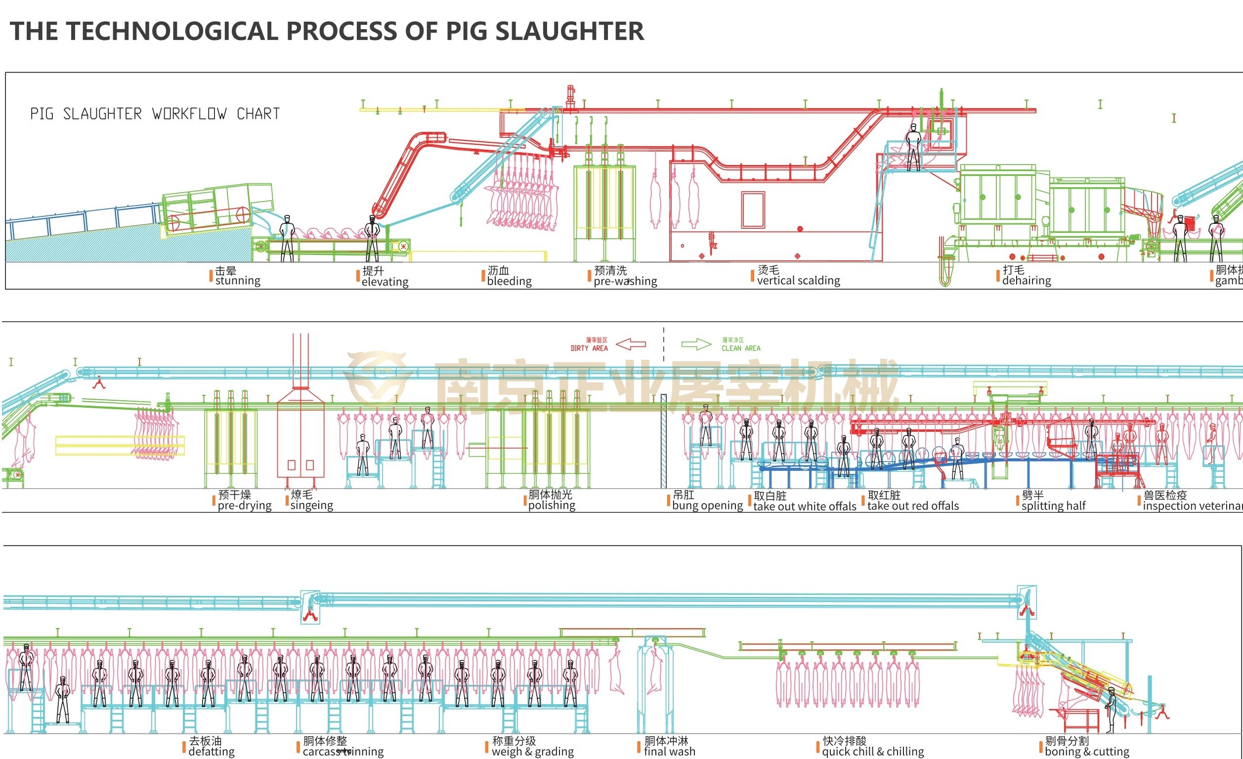 Illustrated pig processing flow from stunning through cutting
