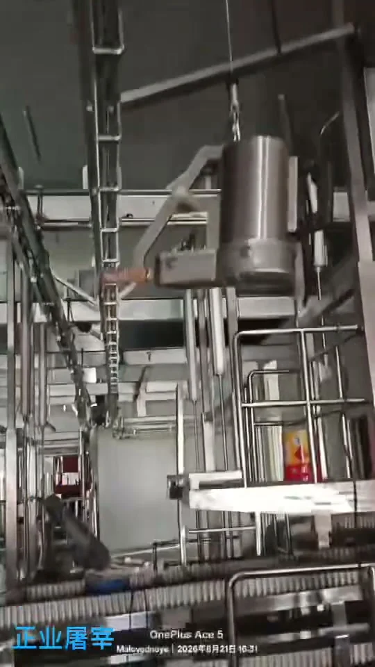吉尔吉斯斯坦牛线调试现场项目现场